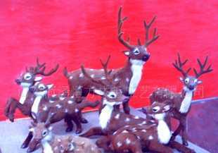 教学仪器的分类与应用 从教具到动物标本的全面解析